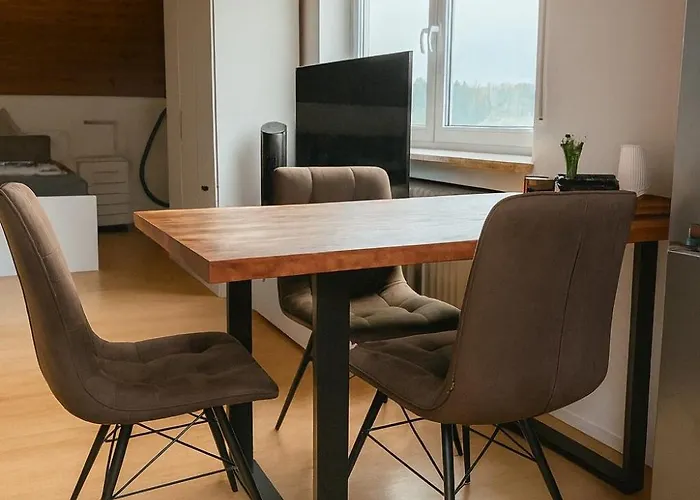 公寓 App 11 Im Am 腓特烈港